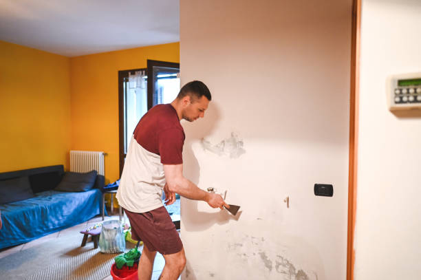 Best Insurance-Related Mold Remediation in South Elgin, IL